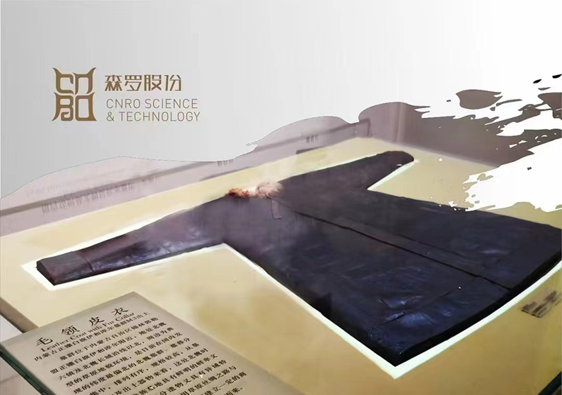 《森羅萬象》，包羅萬象第13問