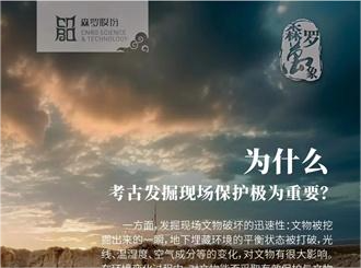《森羅萬象》，萬象包羅第81問 