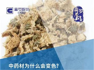 《森羅萬象》，萬象包羅 第2問