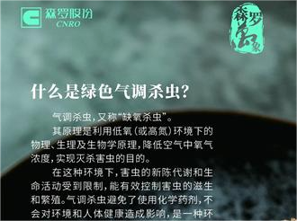 《森羅萬象》，萬象包羅 第12問